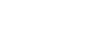 The Digital Hall - SEO